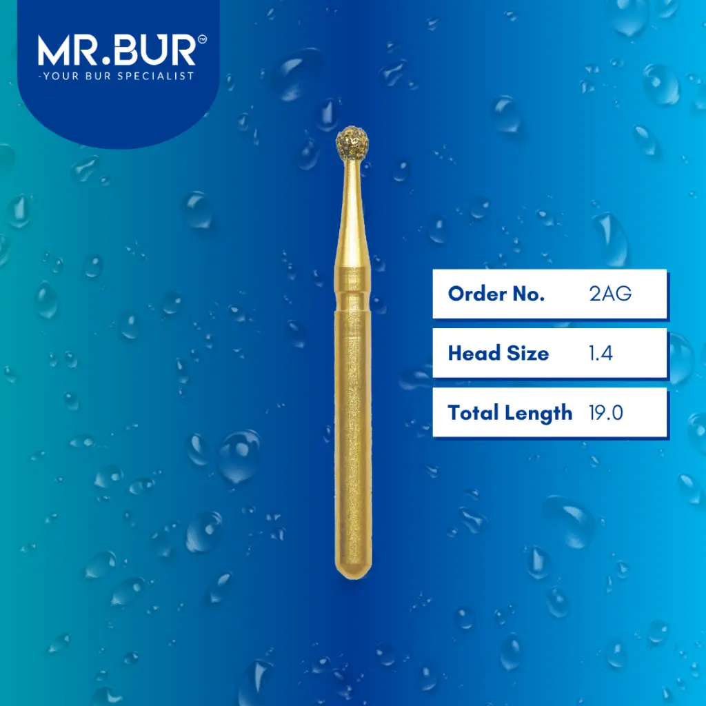 Round-FG-Gold-Standard-Bur-2AG.webp